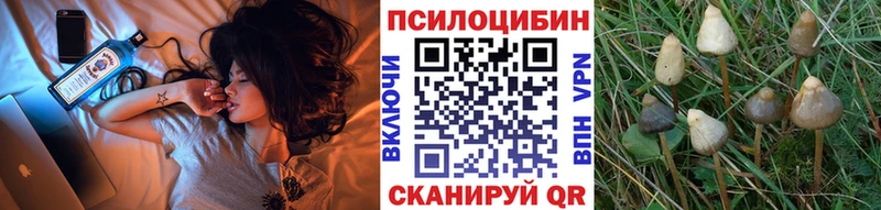 Галлюциногенные грибы MAGIC MUSHROOMS  Купить  Суздаль 